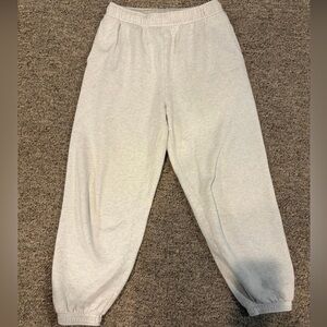 Aritzia Cozy Fleece Mega Fit Joggers